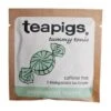 Teapigs Peppermint Leaves Envelope Tea Pack Size: 1 X 50 -Snack Store 121973 1