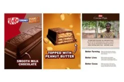 Kit Kat Chunky Peanut Butter Pack Size: 24x42g -Snack Store 26219 4