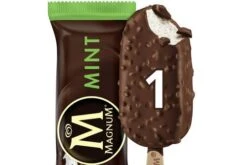 Magnum Mint 100ml Pack Size: 1 X 20