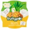 Fruity Pot - Pineapple Pieces In Fruit Juice Pack Size: 18 X 113g -Snack Store 84876 1
