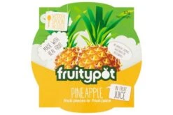 Fruity Pot - Pineapple Pieces In Fruit Juice Pack Size: 18 X 113g